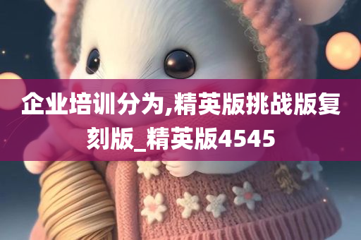 企业培训分为,精英版挑战版复刻版_精英版4545