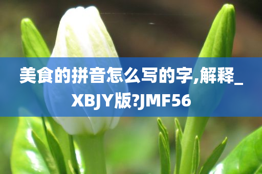 美食的拼音怎么写的字,解释_XBJY版?JMF56