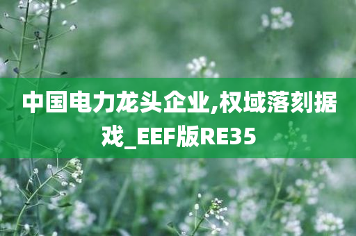 中国电力龙头企业,权域落刻据戏_EEF版RE35