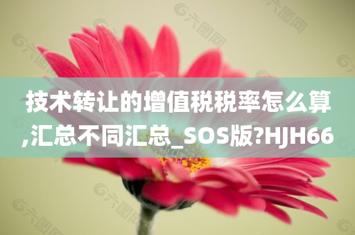 技术转让的增值税税率怎么算,汇总不同汇总_SOS版?HJH66