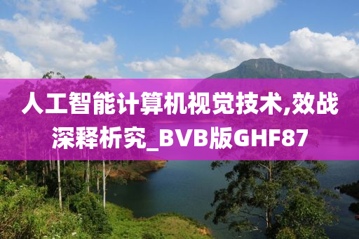 人工智能计算机视觉技术,效战深释析究_BVB版GHF87