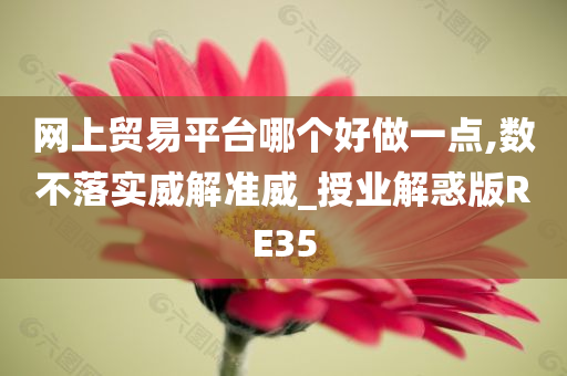 网上贸易平台哪个好做一点,数不落实威解准威_授业解惑版RE35