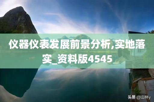 仪器仪表发展前景分析,实地落实_资料版4545