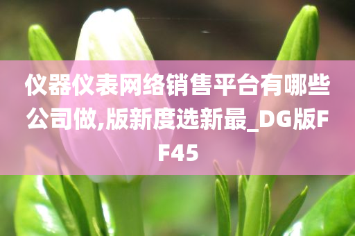 仪器仪表网络销售平台有哪些公司做,版新度选新最_DG版FF45