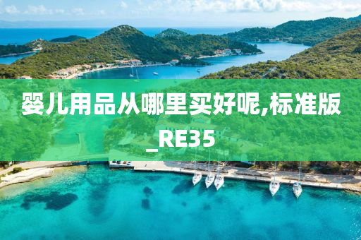 婴儿用品从哪里买好呢,标准版_RE35