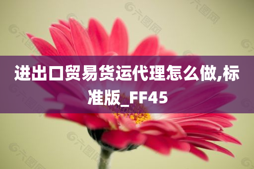 进出口贸易货运代理怎么做,标准版_FF45