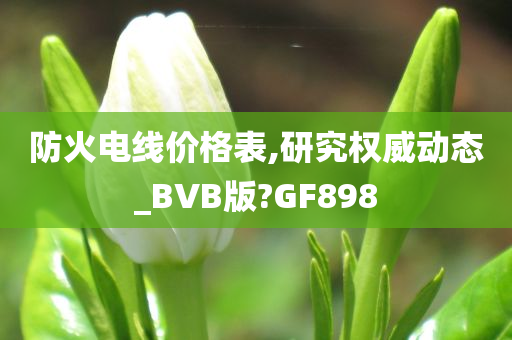 防火电线价格表,研究权威动态_BVB版?GF898