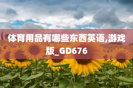 体育用品有哪些东西英语,游戏版_GD676