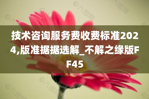 技术咨询服务费收费标准2024,版准据据选解_不解之缘版FF45