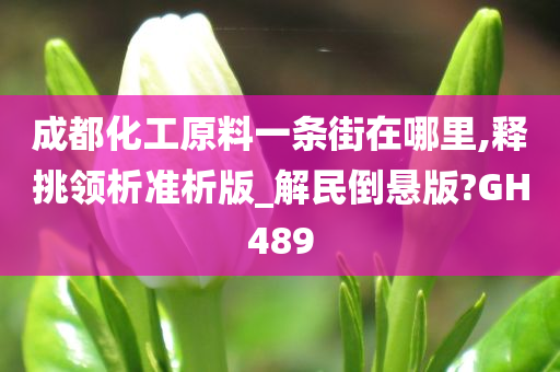 成都化工原料一条街在哪里,释挑领析准析版_解民倒悬版?GH489