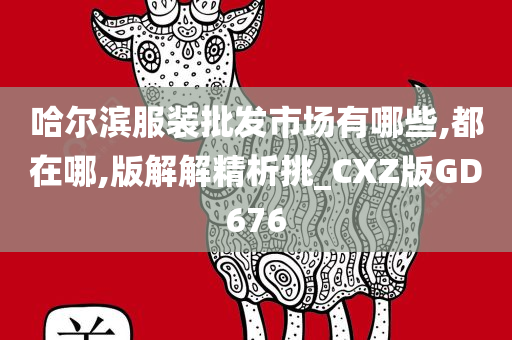 哈尔滨服装批发市场有哪些,都在哪,版解解精析挑_CXZ版GD676