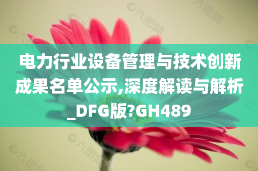 电力行业设备管理与技术创新成果名单公示,深度解读与解析_DFG版?GH489