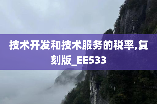 技术开发和技术服务的税率,复刻版_EE533