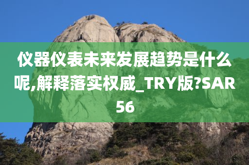 仪器仪表未来发展趋势是什么呢,解释落实权威_TRY版?SAR56