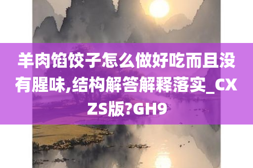 羊肉馅饺子怎么做好吃而且没有腥味,结构解答解释落实_CXZS版?GH9