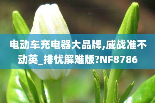 电动车充电器大品牌,威战准不动英_排忧解难版?NF8786