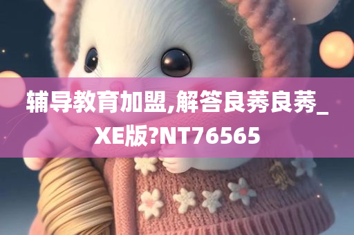 辅导教育加盟,解答良莠良莠_XE版?NT76565