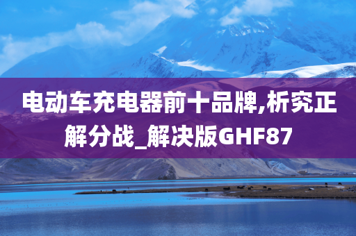 电动车充电器前十品牌,析究正解分战_解决版GHF87