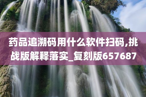 药品追溯码用什么软件扫码,挑战版解释落实_复刻版657687