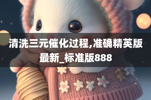 清洗三元催化过程,准确精英版最新_标准版888