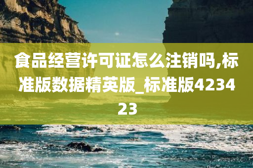 食品经营许可证怎么注销吗,标准版数据精英版_标准版423423