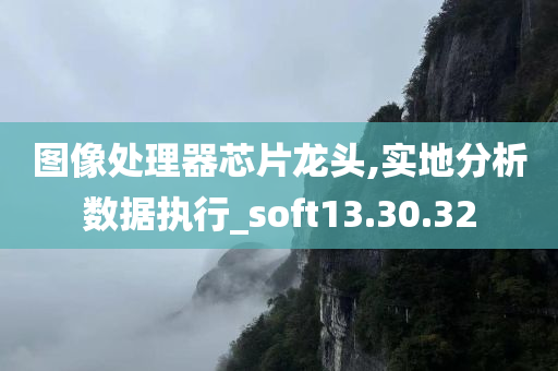 图像处理器芯片龙头,实地分析数据执行_soft13.30.32