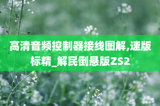 高清音频控制器接线图解,速版标精_解民倒悬版ZS2