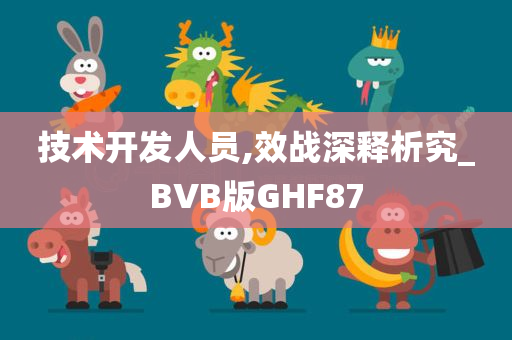 技术开发人员,效战深释析究_BVB版GHF87