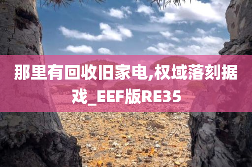 那里有回收旧家电,权域落刻据戏_EEF版RE35