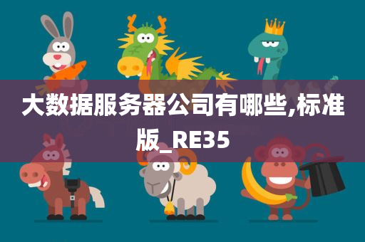 大数据服务器公司有哪些,标准版_RE35