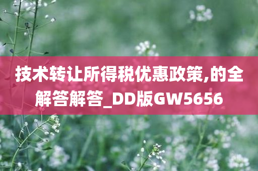 技术转让所得税优惠政策,的全解答解答_DD版GW5656