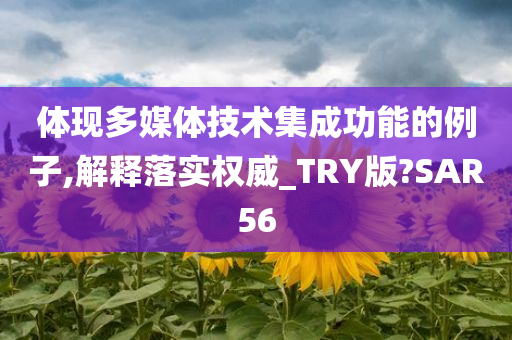 体现多媒体技术集成功能的例子,解释落实权威_TRY版?SAR56