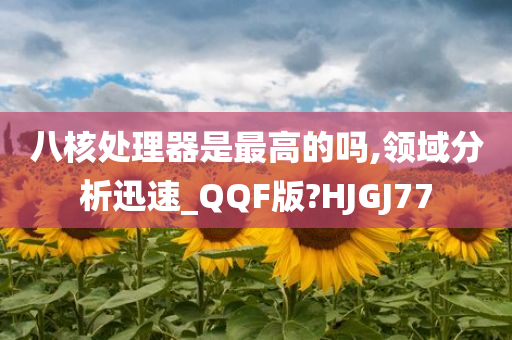 八核处理器是最高的吗,领域分析迅速_QQF版?HJGJ77