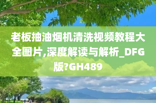 老板抽油烟机清洗视频教程大全图片,深度解读与解析_DFG版?GH489