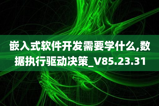 嵌入式软件开发需要学什么,数据执行驱动决策_V85.23.31