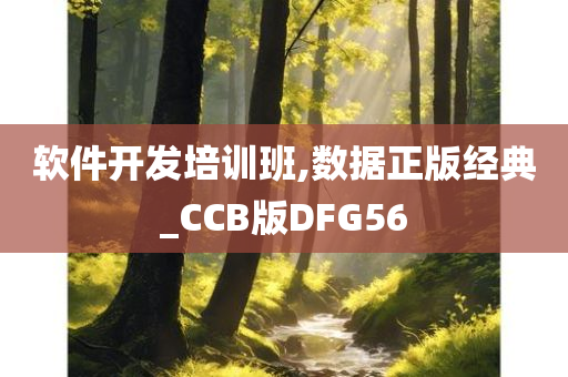 软件开发培训班,数据正版经典_CCB版DFG56