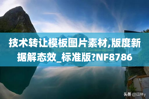 技术转让模板图片素材,版度新据解态效_标准版?NF8786