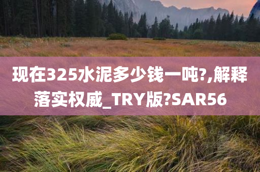 现在325水泥多少钱一吨?,解释落实权威_TRY版?SAR56