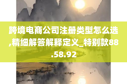 跨境电商公司注册类型怎么选,精细解答解释定义_特别款88.58.92