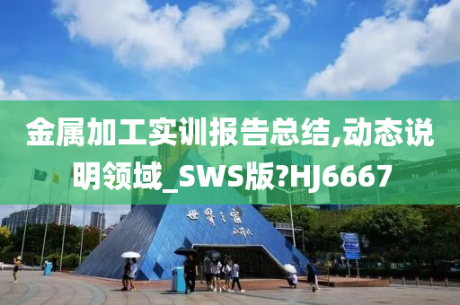 金属加工实训报告总结,动态说明领域_SWS版?HJ6667