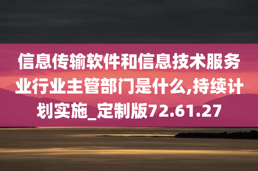 信息传输软件和信息技术服务业行业主管部门是什么,持续计划实施_定制版72.61.27