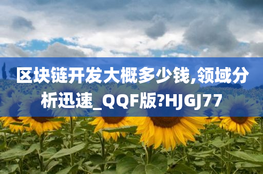 区块链开发大概多少钱,领域分析迅速_QQF版?HJGJ77