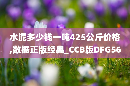 水泥多少钱一吨425公斤价格,数据正版经典_CCB版DFG56