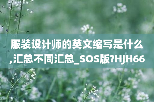 服装设计师的英文缩写是什么,汇总不同汇总_SOS版?HJH66