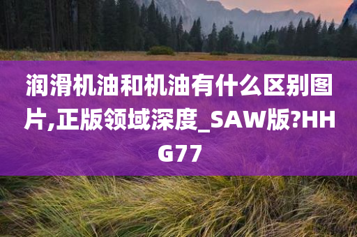 润滑机油和机油有什么区别图片,正版领域深度_SAW版?HHG77