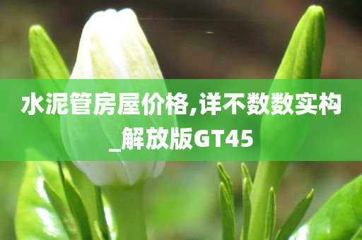 水泥管房屋价格,详不数数实构_解放版GT45