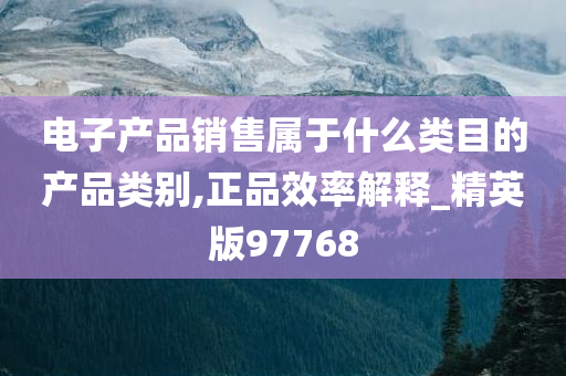 电子产品销售属于什么类目的产品类别,正品效率解释_精英版97768