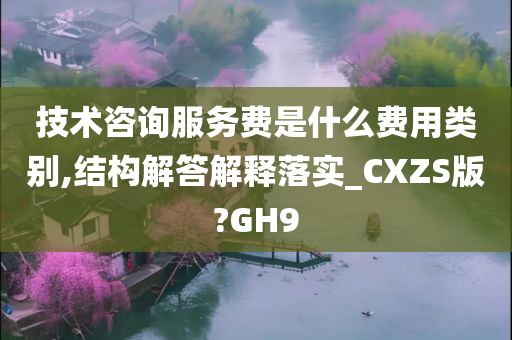 技术咨询服务费是什么费用类别,结构解答解释落实_CXZS版?GH9