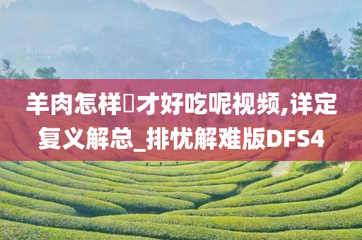 羊肉怎样炆才好吃呢视频,详定复义解总_排忧解难版DFS4