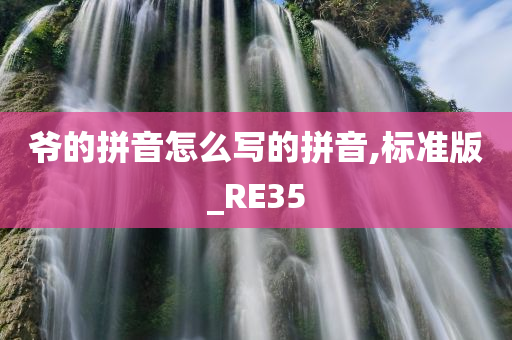 爷的拼音怎么写的拼音,标准版_RE35